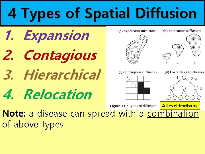 4 1. 2. 3. 4. Types of Spatial Diffusion Expansion Contagious Hierarchical Relocation A