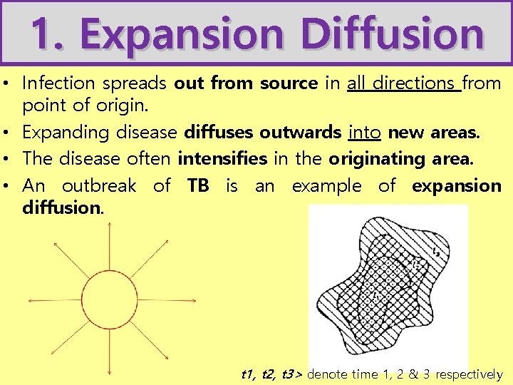1. Expansion Diffusion • Infection spreads out from source in all directions from point 1. Expansion Diffusion • Infection spreads out from source in all directions from point
