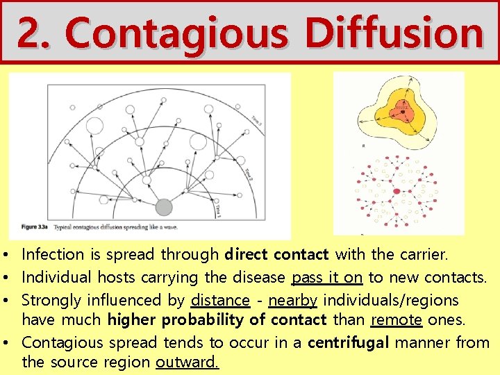 2. Contagious Diffusion • Infection is spread through direct contact with the carrier. •