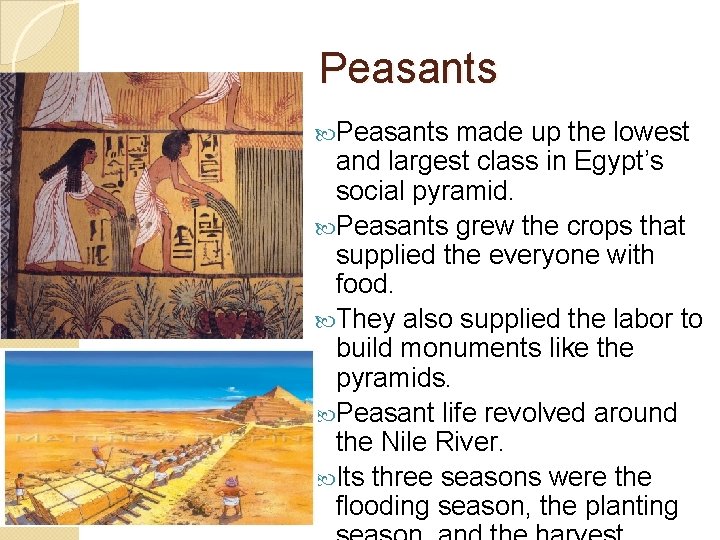 Peasants made up the lowest and largest class in Egypt’s social pyramid. Peasants grew Peasants made up the lowest and largest class in Egypt’s social pyramid. Peasants grew