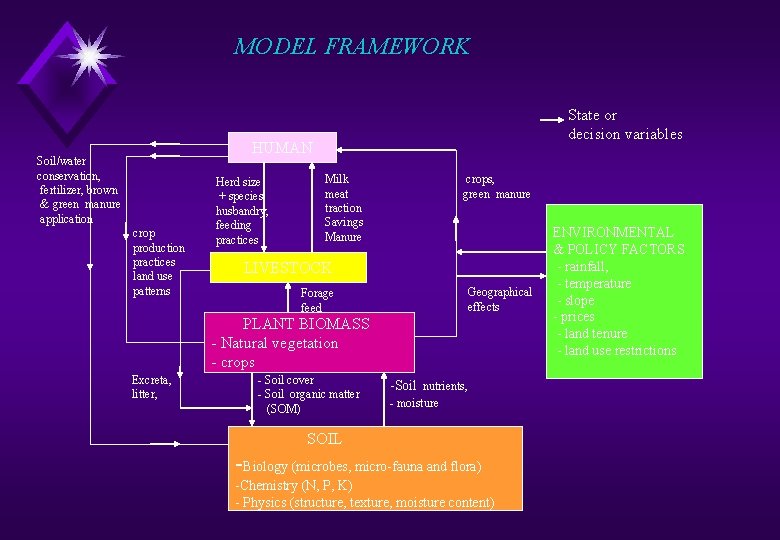 MODEL FRAMEWORK State or decision variables HUMAN Soil/water conservation, fertilizer, brown & green manure