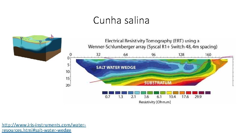 Cunha salina http: //www. iris-instruments. com/waterresources. html#salt-water-wedge 