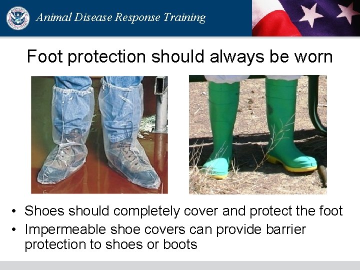 Animal Disease Response Training Foot protection should always be worn • Shoes should completely Animal Disease Response Training Foot protection should always be worn • Shoes should completely