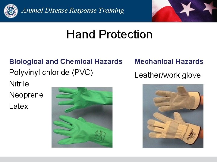 Animal Disease Response Training Hand Protection Biological and Chemical Hazards Mechanical Hazards Polyvinyl chloride Animal Disease Response Training Hand Protection Biological and Chemical Hazards Mechanical Hazards Polyvinyl chloride