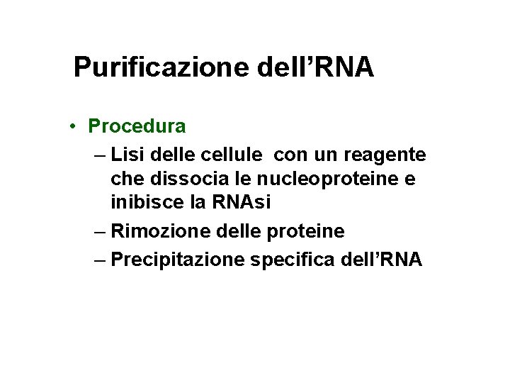 Purificazione dell’RNA • Procedura – Lisi delle cellule con un reagente che dissocia le