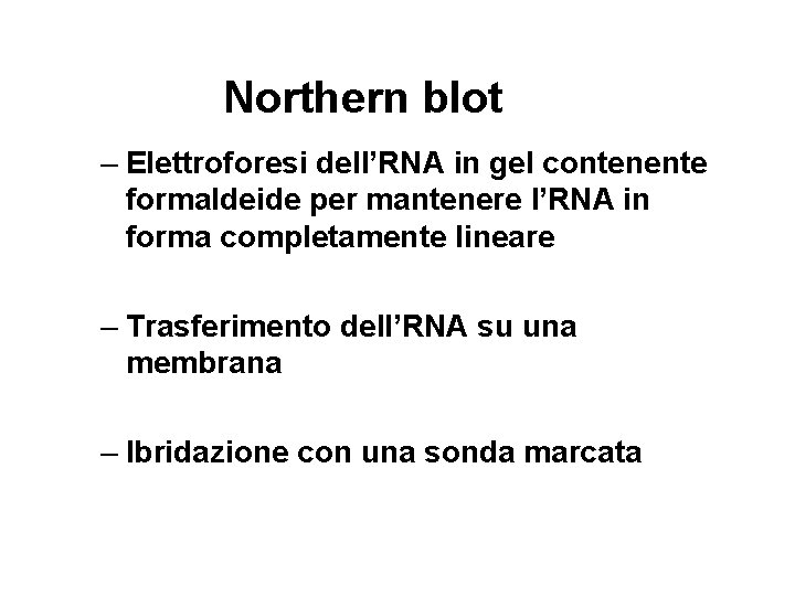Northern blot – Elettroforesi dell’RNA in gel contenente formaldeide per mantenere l’RNA in forma