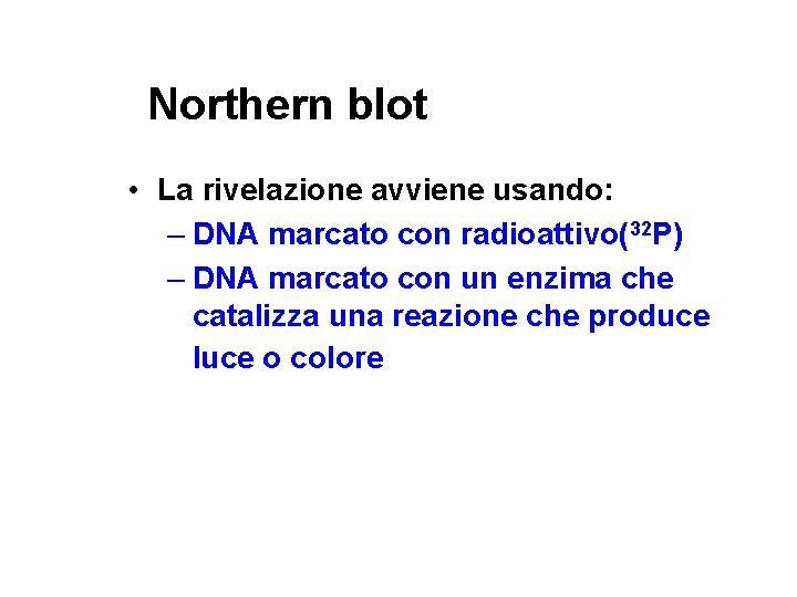 Northern blot • La rivelazione avviene usando: – DNA marcato con radioattivo(32 P) –