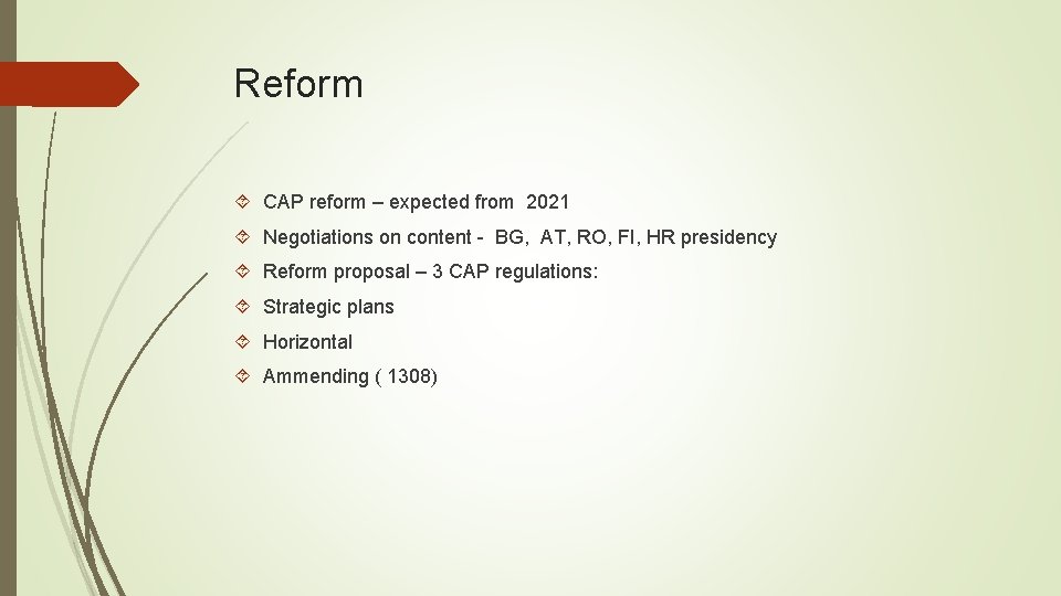 Reform CAP reform – expected from 2021 Negotiations on content - BG, AT, RO,