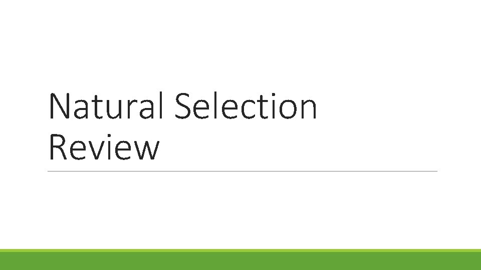 Natural Selection Review 