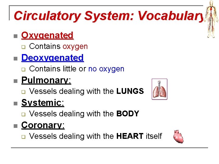 Circulatory System: Vocabulary n Oxygenated q n Deoxygenated q n Vessels dealing with the