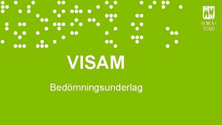 VISAM Bedömningsunderlag 