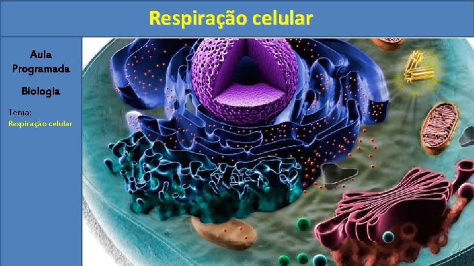 Respiração celular Aula Programada Biologia Tema: Respiração celular 