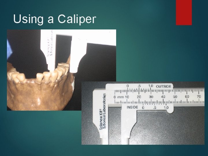 Using a Caliper 