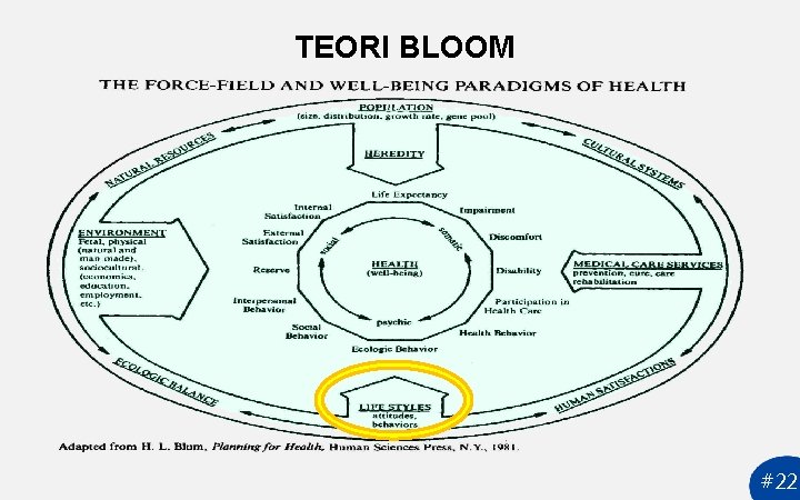 TEORI BLOOM #22 