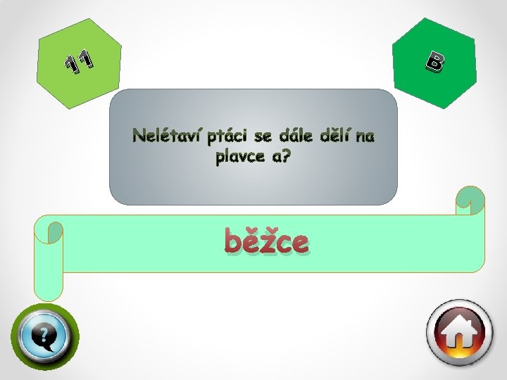 B 11 běžce 