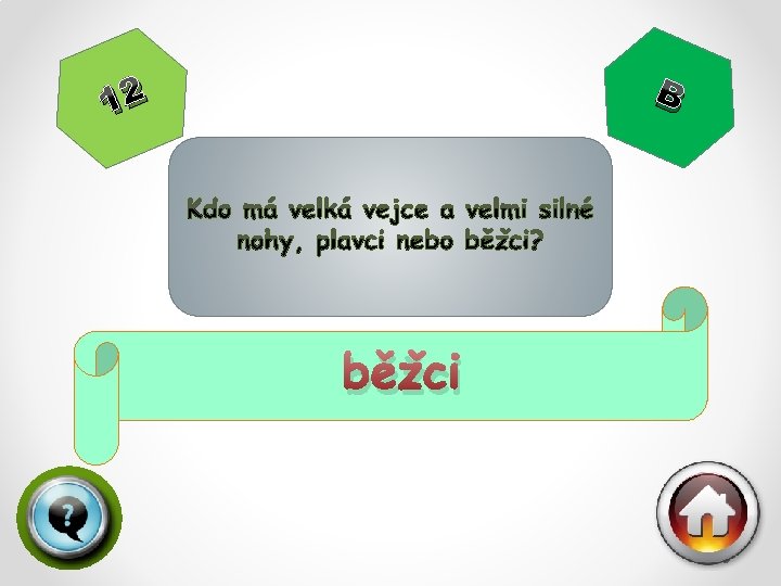 B 12 běžci 