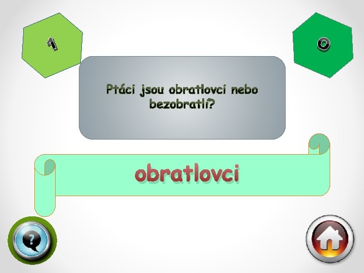 O 1 obratlovci 