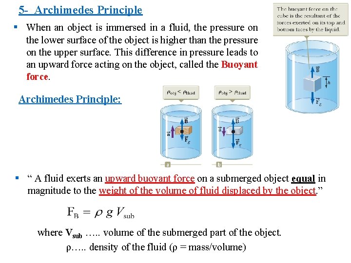 5 - Archimedes Principle § When an object is immersed in a fluid, the