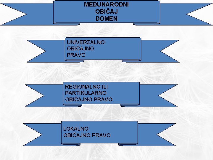 MEĐUNARODNI OBIČAJ DOMEN UNIVERZALNO OBIČAJNO PRAVO REGIONALNO ILI PARTIKULARNO OBIČAJNO PRAVO LOKALNO OBIČAJNO PRAVO