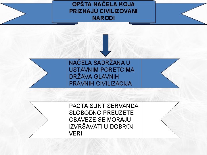 OPŠTA NAČELA KOJA PRIZNAJU CIVILIZOVANI NARODI NAČELA SADRŽANA U USTAVNIM PORETCIMA DRŽAVA GLAVNIH PRAVNIH