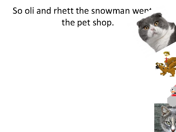 So oli and rhett the snowman went to the pet shop. 