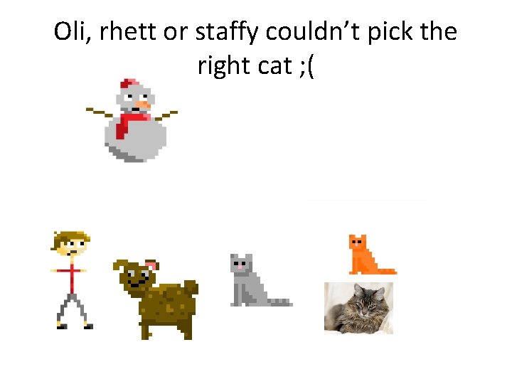 Oli, rhett or staffy couldn’t pick the right cat ; ( 