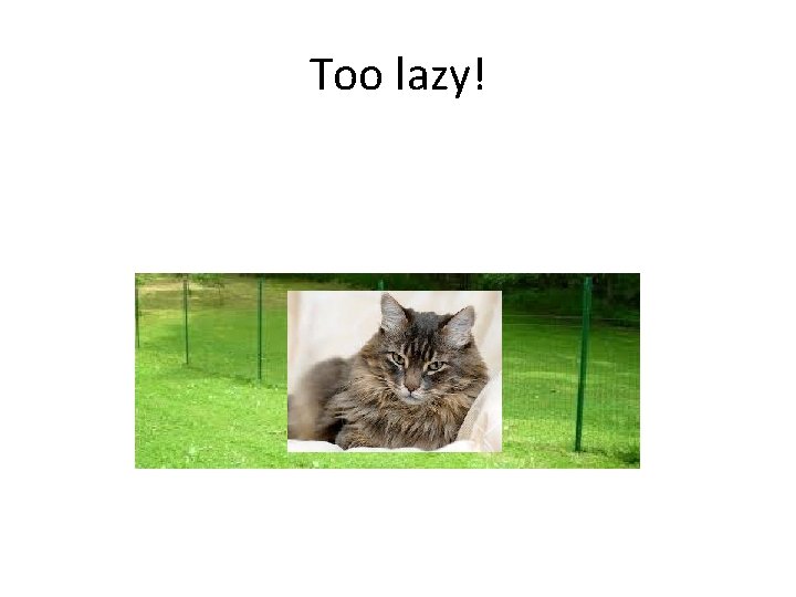 Too lazy! 