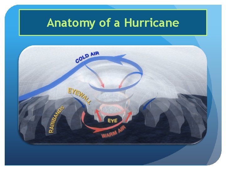 Anatomy of a Hurricane 