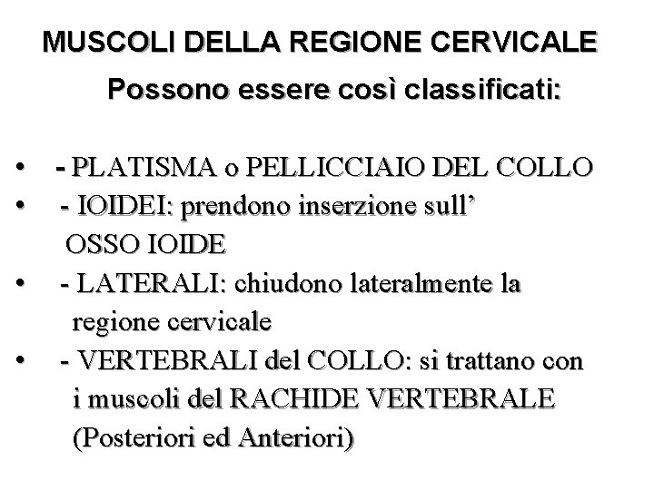 MUSCOLI DELLA REGIONE CERVICALE Possono essere così classificati: • - PLATISMA o PELLICCIAIO DEL