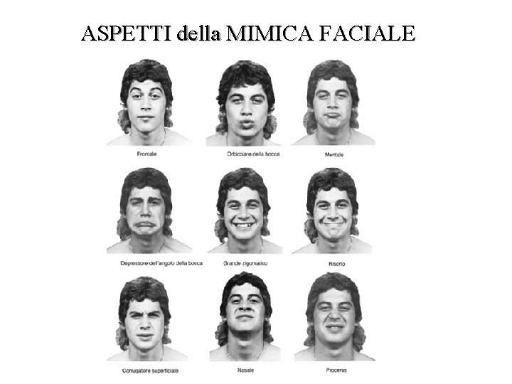 ASPETTI della MIMICA FACIALE 