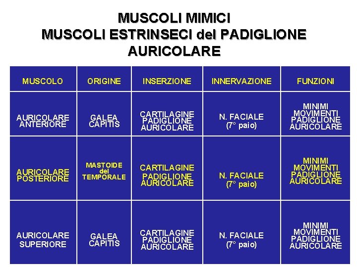 MUSCOLI MIMICI MUSCOLI ESTRINSECI del PADIGLIONE AURICOLARE MUSCOLO ORIGINE AURICOLARE ANTERIORE GALEA CAPITIS AURICOLARE