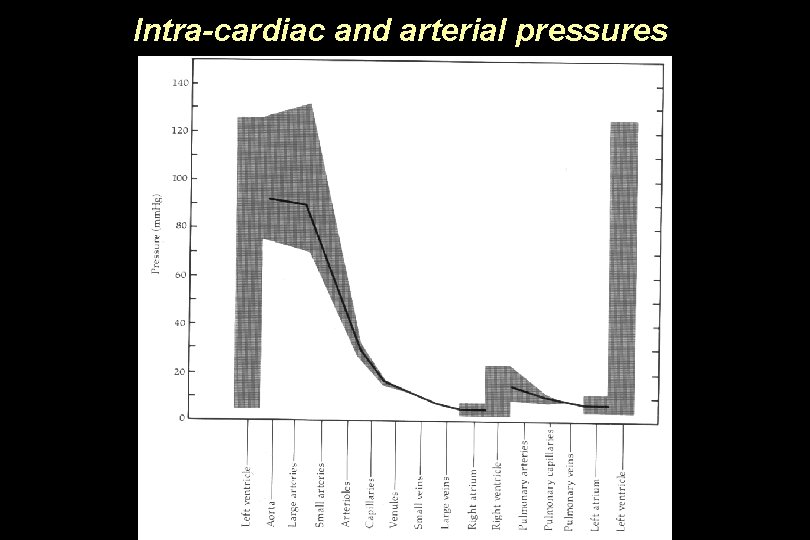 Intra-cardiac and arterial pressures 