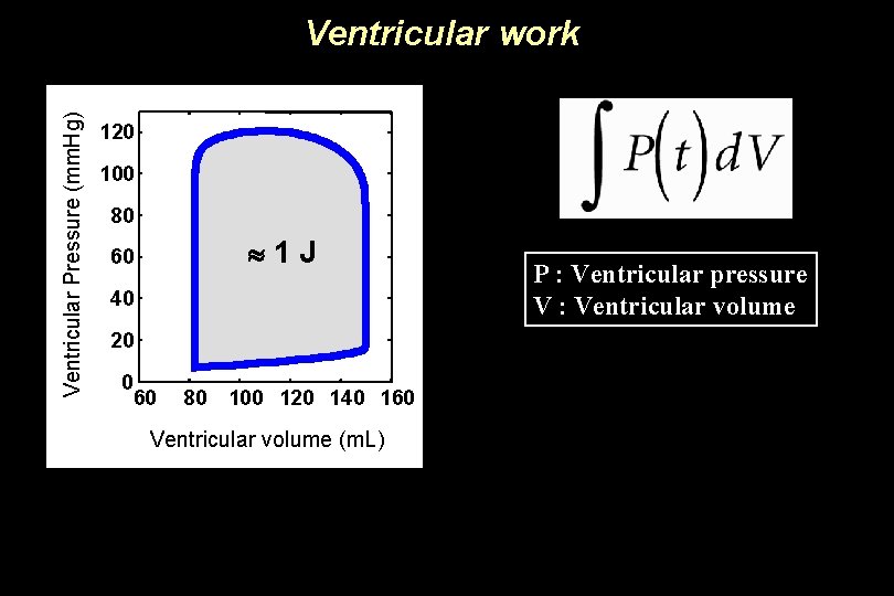 Ventricular Pressure (mm. Hg) Ventricular work 120 100 80 1 J 60 40 20