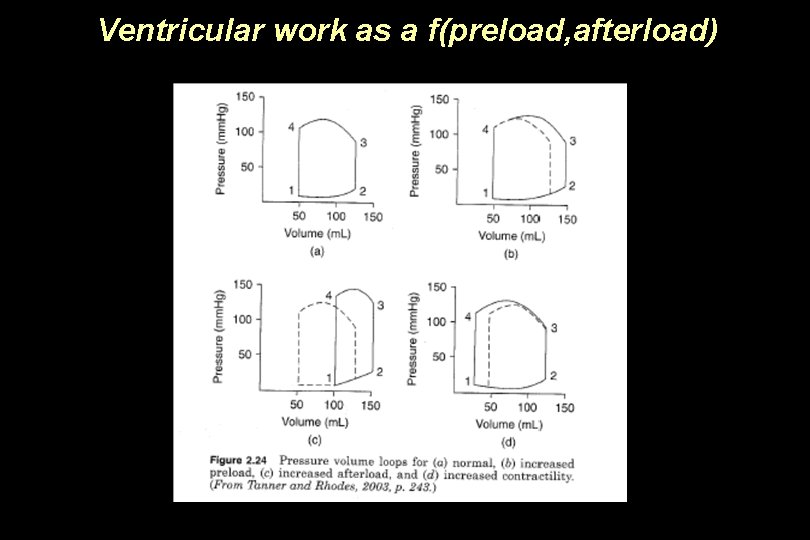 Ventricular work as a f(preload, afterload) 