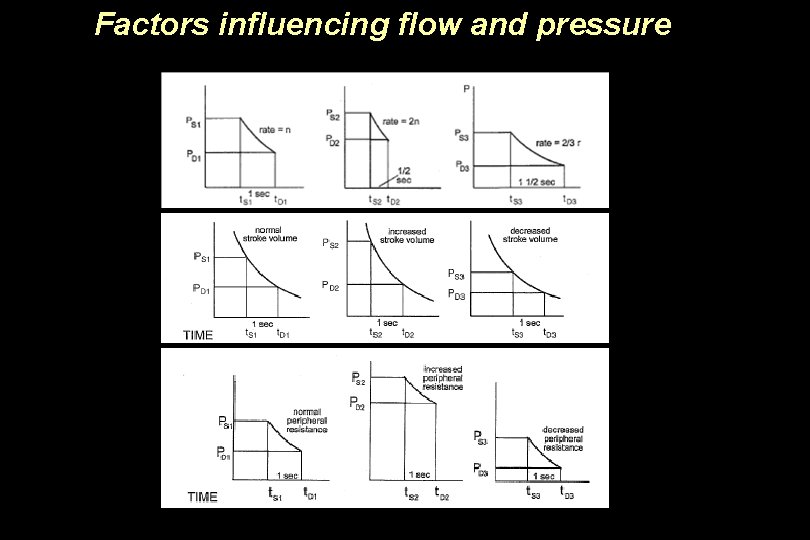 Factors influencing flow and pressure 