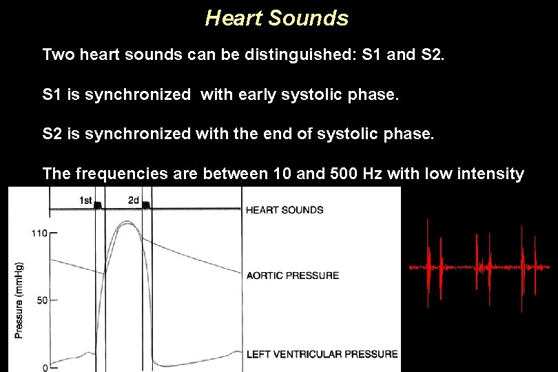 Heart Sounds Two heart sounds can be distinguished: S 1 and S 2. S