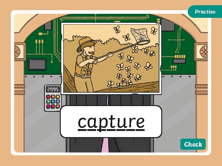 Practise capture Check Practise capture Check