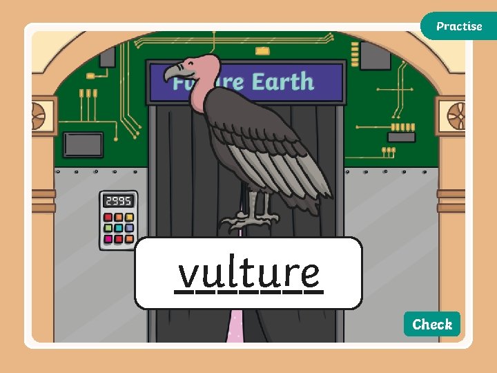 Practise vulture Check Practise vulture Check