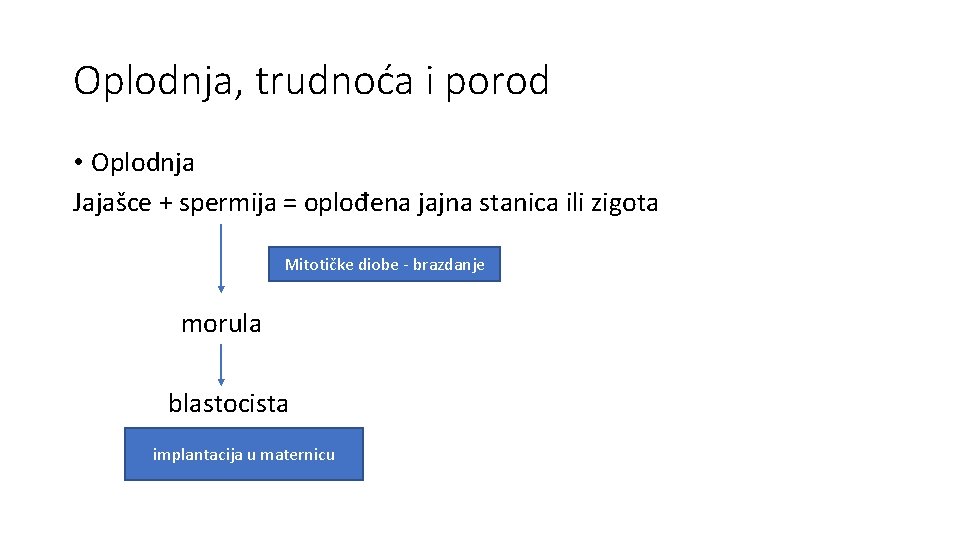 Oplodnja, trudnoća i porod • Oplodnja Jajašce + spermija = oplođena jajna stanica ili