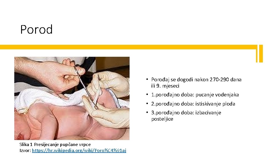 Porod • Porođaj se dogodi nakon 270 -290 dana ili 9. mjeseci • 1.