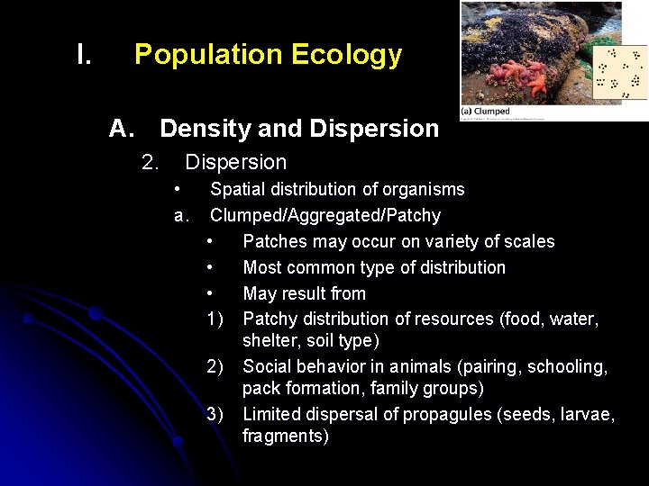 I. Population Ecology A. Density and Dispersion 2. Dispersion • a. Spatial distribution of