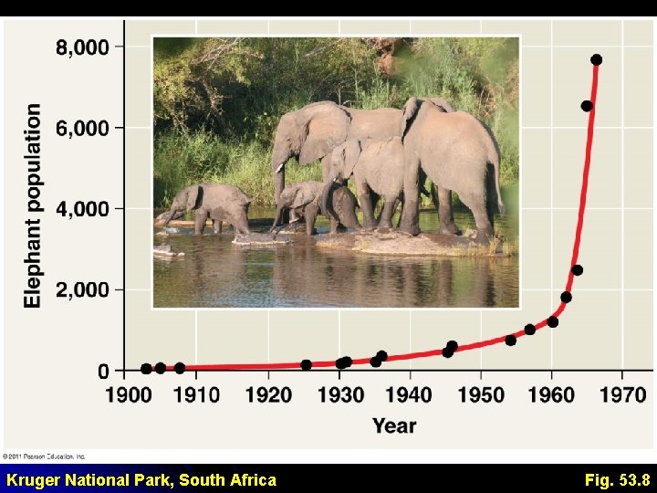 Kruger National Park, South Africa Fig. 53. 8 