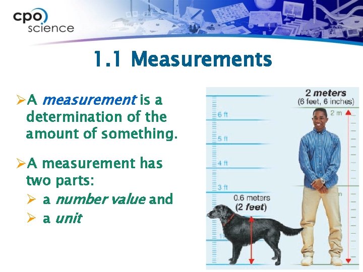 1. 1 Measurements ØA measurement is a determination of the amount of something. ØA