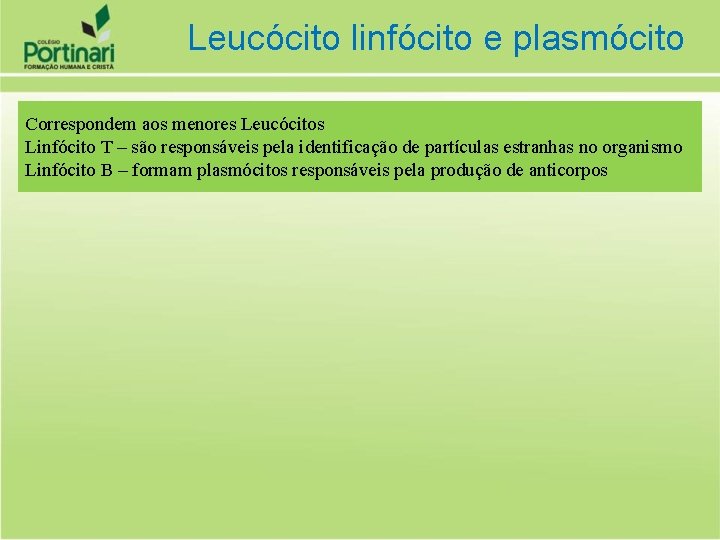 Leucócito linfócito e plasmócito Correspondem aos menores Leucócitos Linfócito T – são responsáveis pela