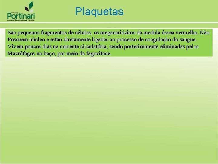 Plaquetas São pequenos fragmentos de células, os megacariócitos da medula óssea vermelha. Não Possuem