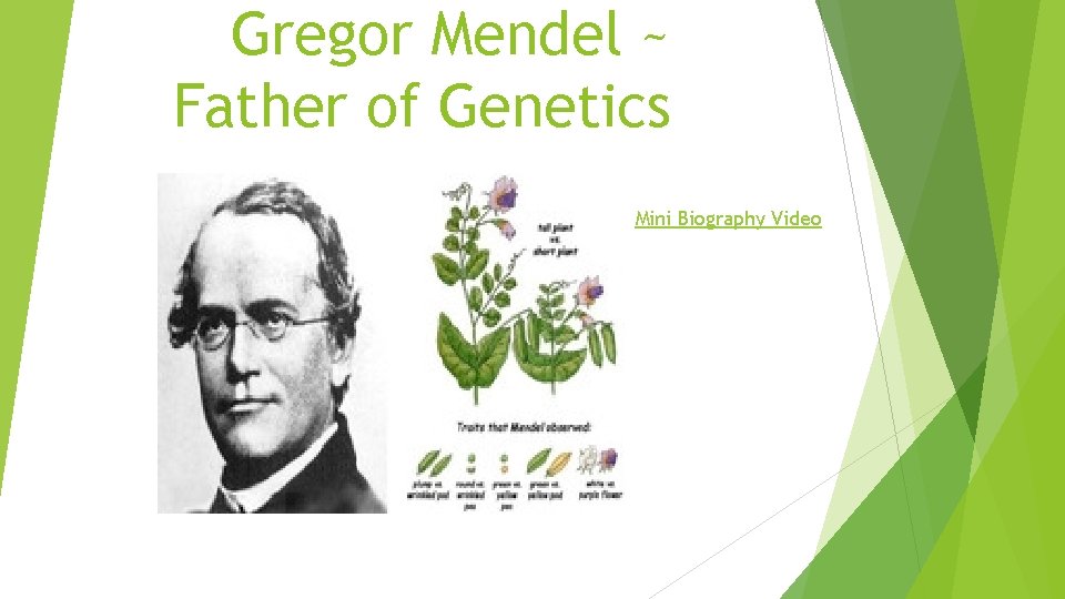 Gregor Mendel ~ Father of Genetics Mini Biography Video 