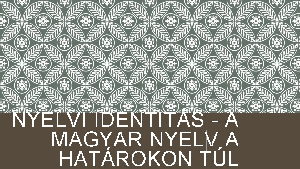 NYELVI IDENTITÁS - A MAGYAR NYELV A HATÁROKON TÚL 