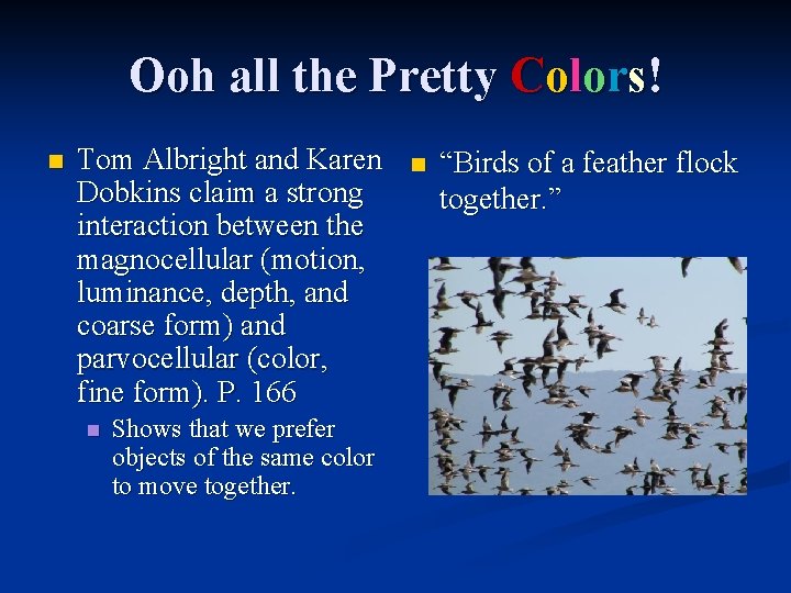 Ooh all the Pretty Colors! n Tom Albright and Karen Dobkins claim a strong