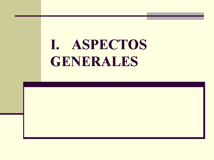 I. ASPECTOS GENERALES 