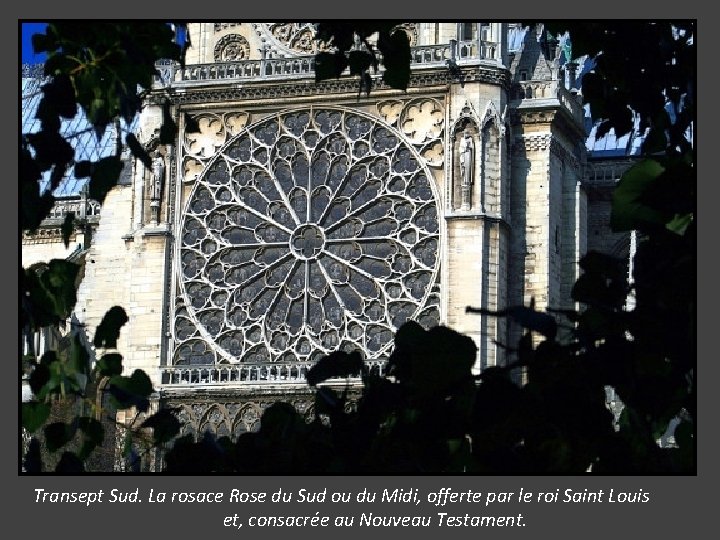 Transept Sud. La rosace Rose du Sud ou du Midi, offerte par le roi